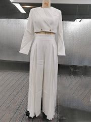 Round-Neck Long Sleeves Buttoned Solid Color Split-Joint Blazers Top +Zipper Wide Leg Mesh Pleated Pants bottom Two Pieces Set