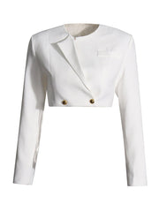 Round-Neck Long Sleeves Buttoned Solid Color Split-Joint Blazers Top +Zipper Wide Leg Mesh Pleated Pants bottom Two Pieces Set