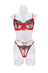 Valentines Day Funny See Through Pure Bra Panty Gorgeous Charming Stunning Attractive Alluring Lingerie Set