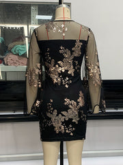 Mesh Sequined Split-Joint Bodycon Long Sleeves Round-Neck Mini Dresses