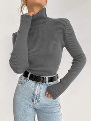 Long Sleeves Skinny Solid Color High Neck Pullovers Sweater Sweater Tops