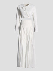 Round-Neck Long Sleeves Buttoned Solid Color Split-Joint Blazers Top +Zipper Wide Leg Mesh Pleated Pants bottom Two Pieces Set