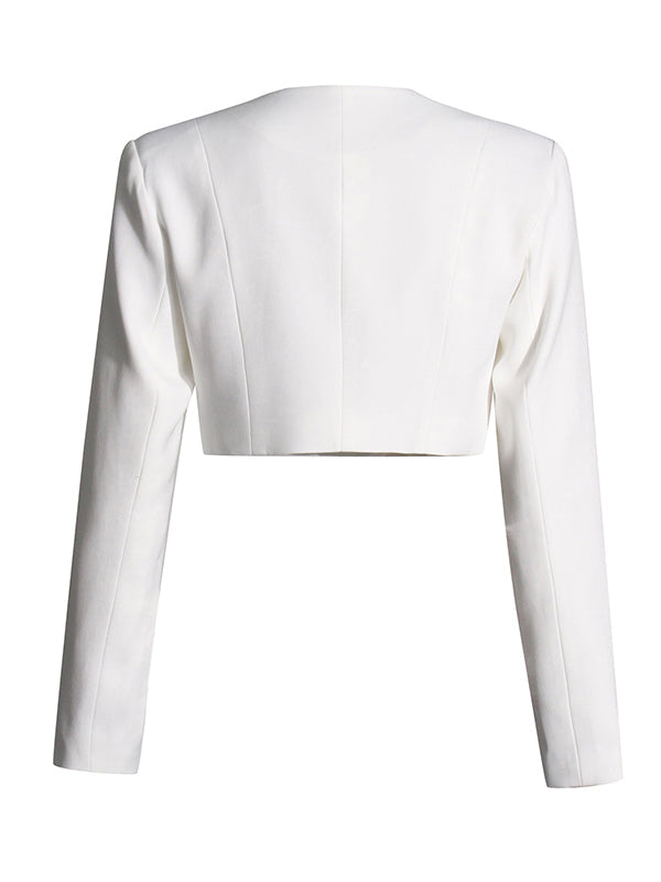 Round-Neck Long Sleeves Buttoned Solid Color Split-Joint Blazers Top +Zipper  Wide Leg Mesh Pleated Pants bottom Two Pieces Set