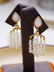 Original Elegant Tasseled Earrings Accessories