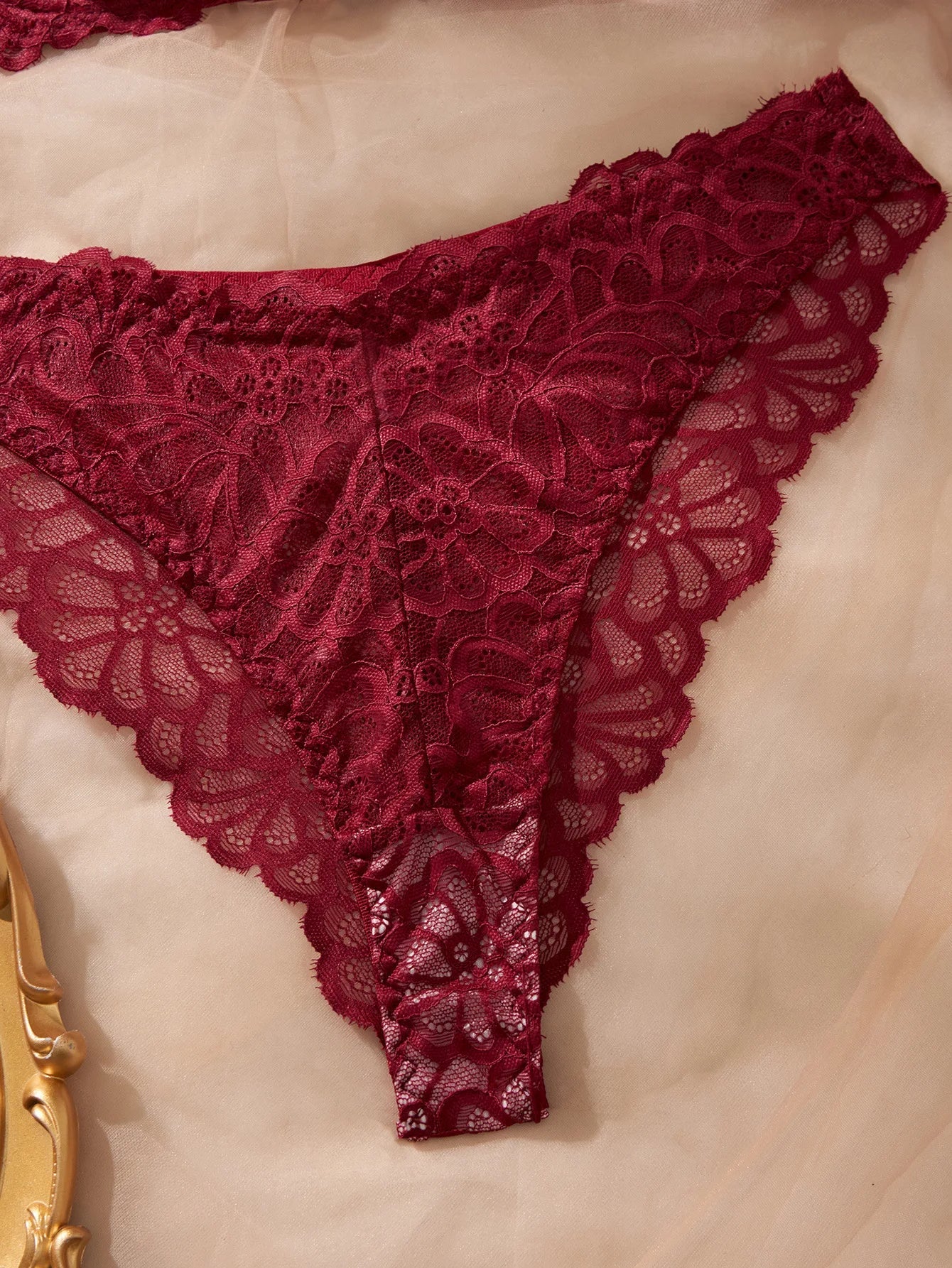 2 Piece Erotic Western Style Lace Floral Print Sensual Pure See Through Adjustable Straps Alluring Lingerie Set