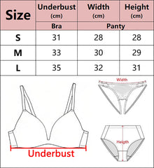 2 Piece Set Lace Bra Set Push Up Lingerie Bras Briefs Set Deep V Cross Back Transparent G-string Underpants