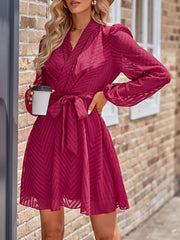 See-Through Solid Color Tied Waist A-Line Long Sleeves V-Neck Mini Dresses