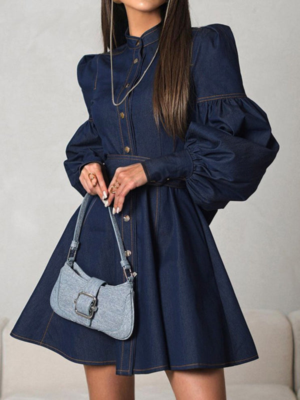 Buttoned Pleated Split-Joint Tied Waist A-Line Long Sleeves Mock Neck Mini Dresses