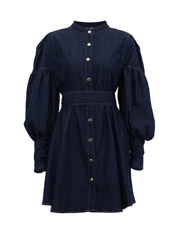 Buttoned Pleated Split-Joint Tied Waist A-Line Long Sleeves Mock Neck Mini Dresses