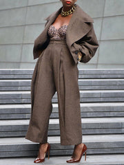 Long Sleeves Pleated Solid Color Notched Collar Outerwear Top + Pants Bottom Two Pieces Set