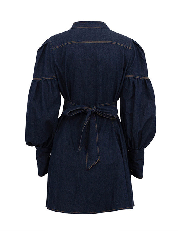 Buttoned Pleated Split-Joint Tied Waist A-Line Long Sleeves Mock Neck Mini Dresses