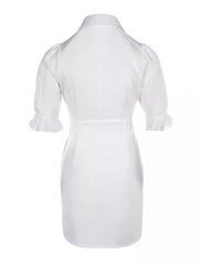 Solid Color Split-Joint Puff Sleeves Short Sleeves Lapel Shirt Dress Mini Dresses