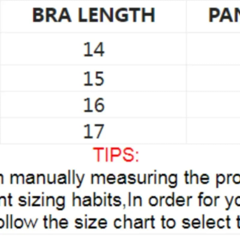 Exotic Fairy Lingerie PushUp Bra Embroidered Tulle Sheer Mesh 3Piece Transparent Wear