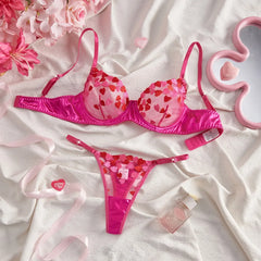 Mesh Heart Embroidery See Through Bra Pantys Erotic Seductive Underwearss Clothings Seduct Lingerie Set