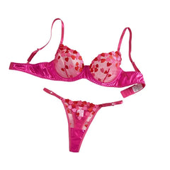 Mesh Heart Embroidery See Through Bra Pantys Erotic Seductive Underwearss Clothings Seduct Lingerie Set