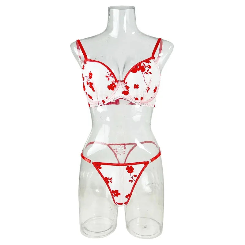 Western Erotic Summer Mesh Printed Pure Bras Seductive Underwears Seductive Lingerie Set