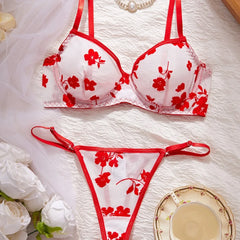 Western Erotic Summer Mesh Printed Pure Bras Seductive Underwears Seductive Lingerie Set
