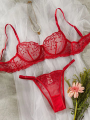 Red Lingerie Embroidery Pure See Through Brass Erotics Underwearss Seductive Seduction Lingerie Set