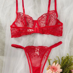 Red Lingerie Embroidery Pure See Through Brass Erotics Underwearss Seductive Seduction Lingerie Set