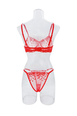 Red Lingerie Embroidery Pure See Through Brass Erotics Underwearss Seductive Seduction Lingerie Set
