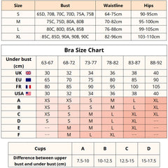 Lingerie Bandage Bra Embroidery Lace Belt Fine Exotic Adult Romantic