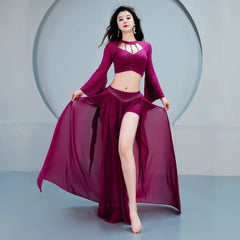 Belly Dance Oriental Dance Stretched Silky Outfit Class Group Dance Long Skirt Practice Suit 2 Pieces Set
