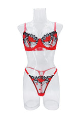 Valentines Day Funny See Through Pure Bra Panty Gorgeous Charming Stunning Attractive Alluring Lingerie Set