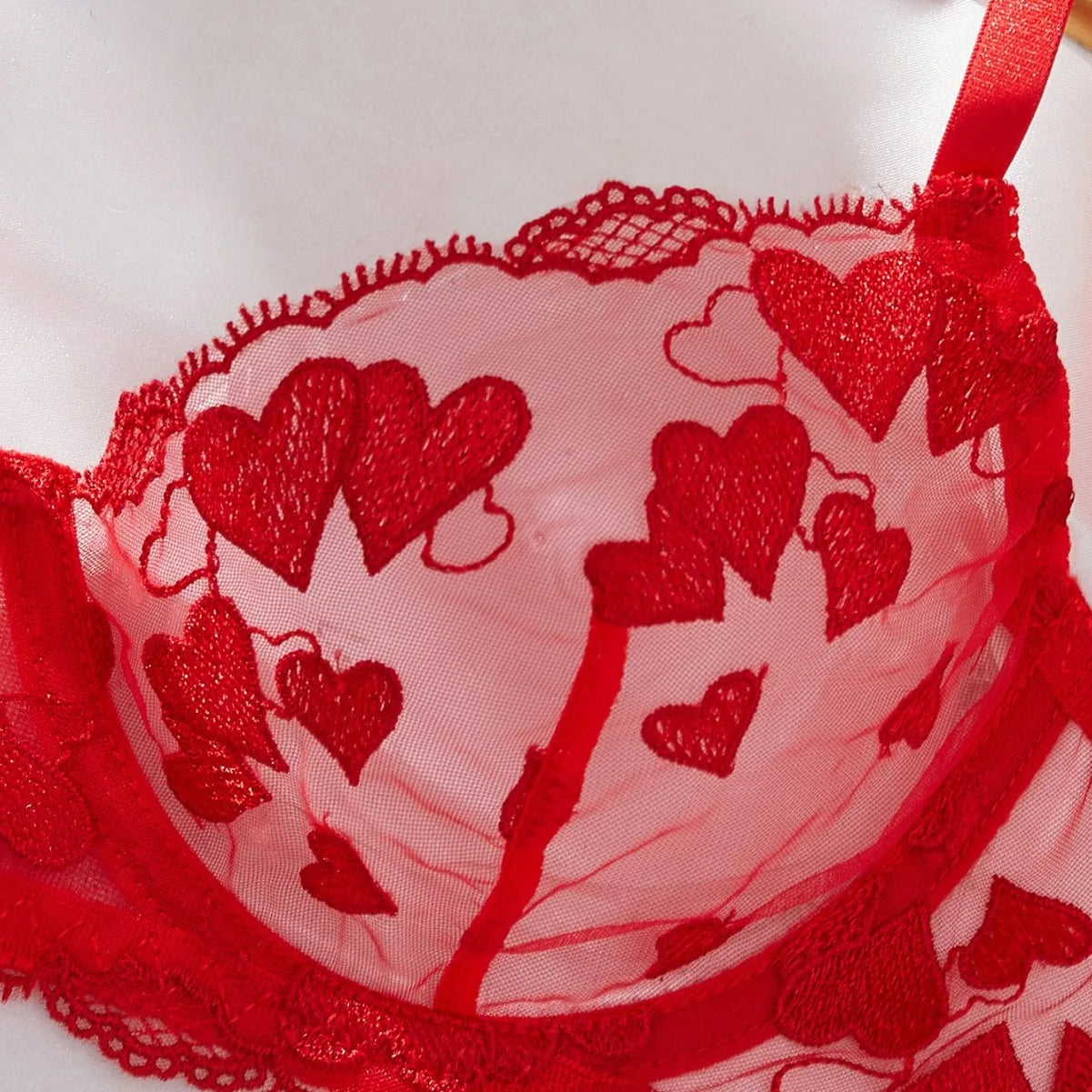 Western Erotic Mesh Heart Embroidery Bras Seductive Underwearsss Seductive Clothing Lingerie Set