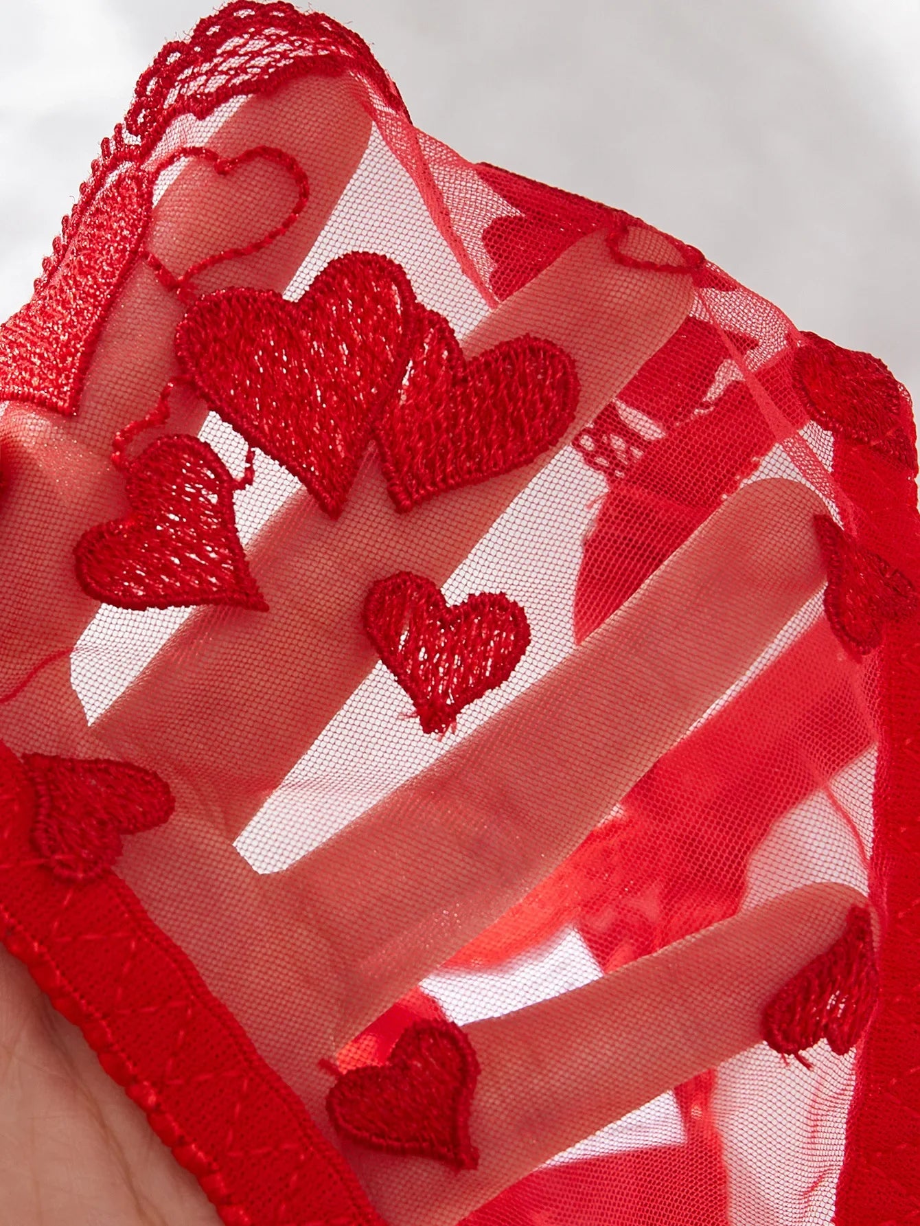 Western Erotic Mesh Heart Embroidery Bras Seductive Underwearsss Seductive Clothing Lingerie Set