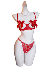 Western Hollow Out Bra See Through Open Crotch Panty