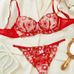 Western Mesh Heart Embroidery Pure See Through Bras Erotic Seductive Underwears Seductive Lingerie Set