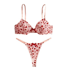 Western See Through Mesh Heart Embroidery Bra Pantiess Erotic Seductive Underwears Lingerie Set