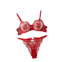 Western Style Erotic Bra Push Up Embroidery Meshs Seductive Underwears Erotic Lingerie Set
