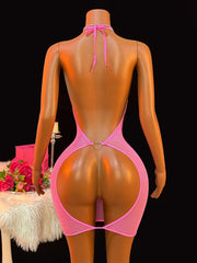 Rose Fishnet Dress Mesh Hollow Perspective Bodycon Underwear Dress Erotic Crotchless Lingerie