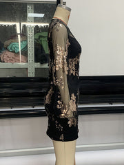 Mesh Sequined Split-Joint Bodycon Long Sleeves Round-Neck Mini Dresses