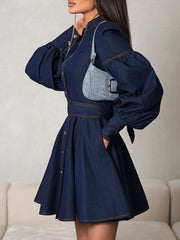 Buttoned Pleated Split-Joint Tied Waist A-Line Long Sleeves Mock Neck Mini Dresses