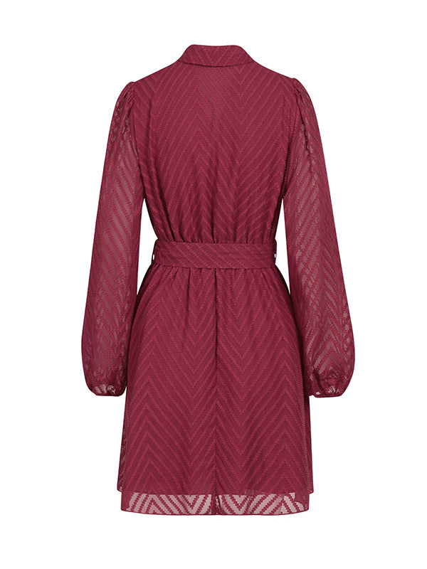 See-Through Solid Color Tied Waist A-Line Long Sleeves V-Neck Mini Dresses